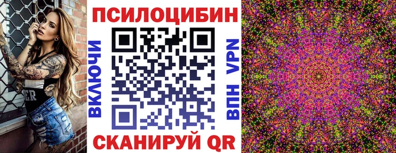 мега как зайти магазин продажи наркотиков Болгар Галлюциногенные грибы Psilocybine cubensis
